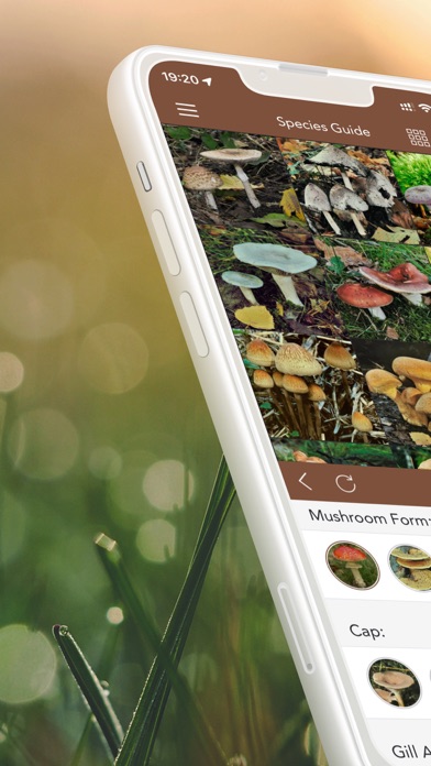 Mushrooms PRO with Photo ID screenshot