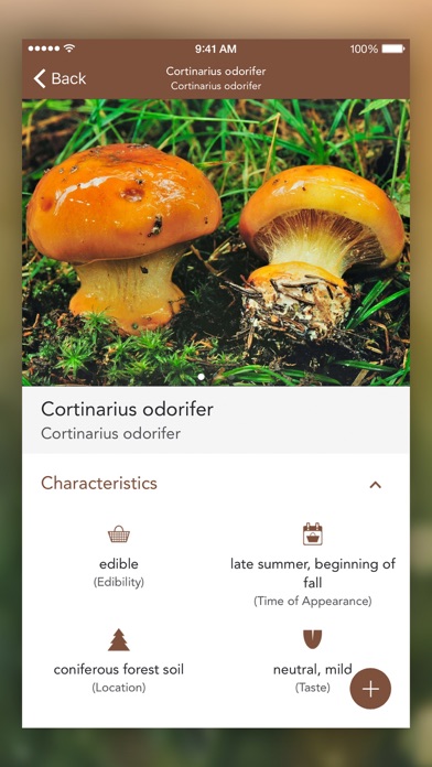 Mushrooms PRO with Photo ID screenshot