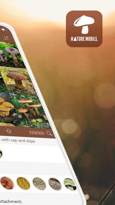 Mushrooms PRO with Photo ID screenshot