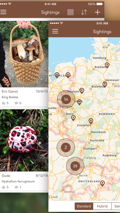 Mushrooms PRO with Photo ID screenshot
