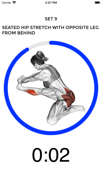 StretchBuddy screenshot