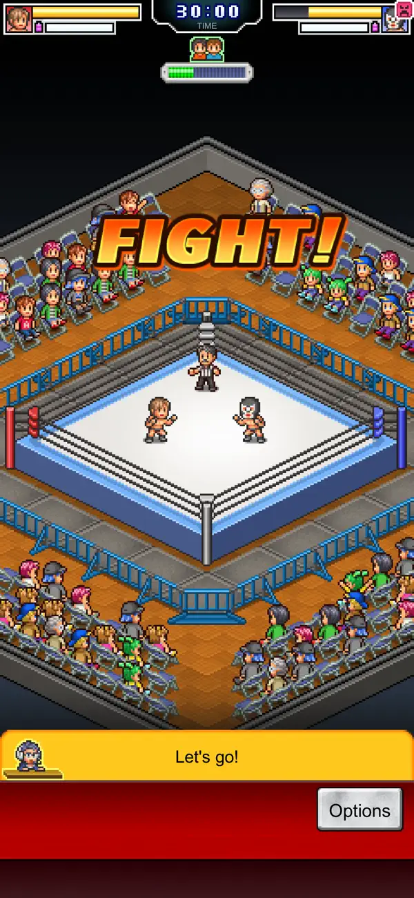Pro Wrestler Story screenshot