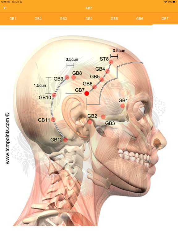 Acupuncture Assistant screenshot