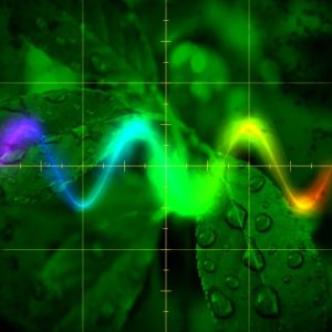 Nature – Oscillator