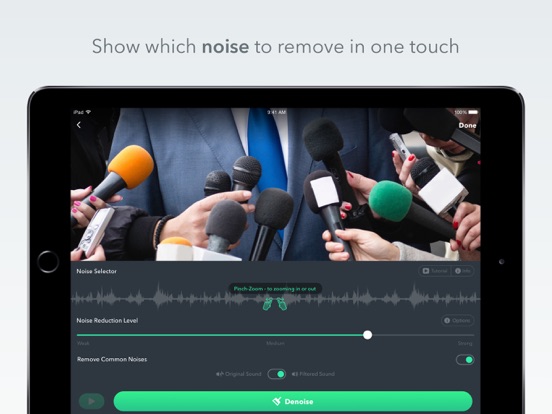 Denoise: AI Voice Cleanup screenshot
