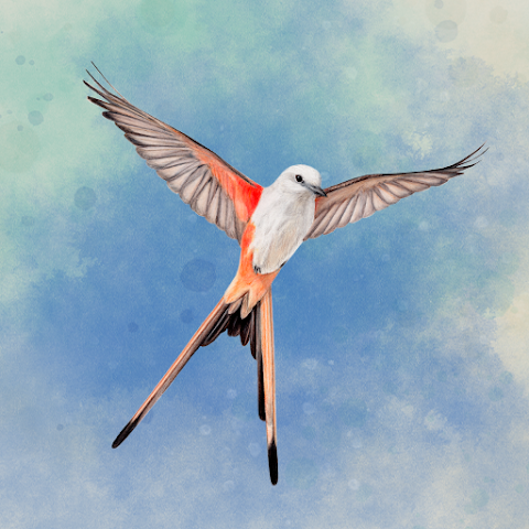 Wingspan: The Board Game screenshot