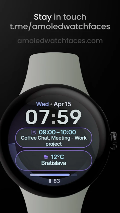 Digest Watch Face screenshot
