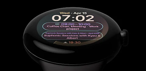 Digest Watch Face screenshot