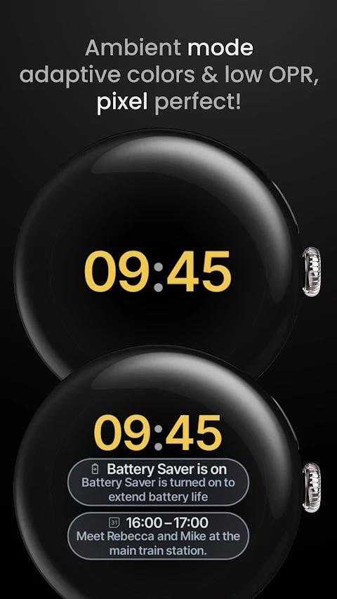 Digest Watch Face screenshot