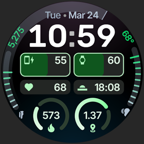 Expedition Watch Face screenshot