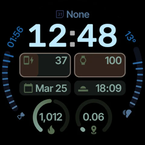 Expedition Watch Face screenshot