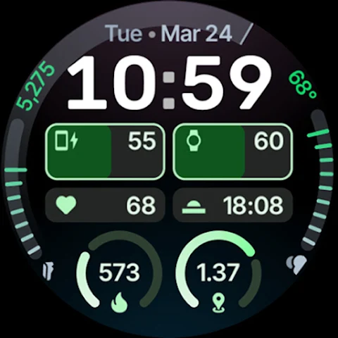 Expedition Watch Face screenshot