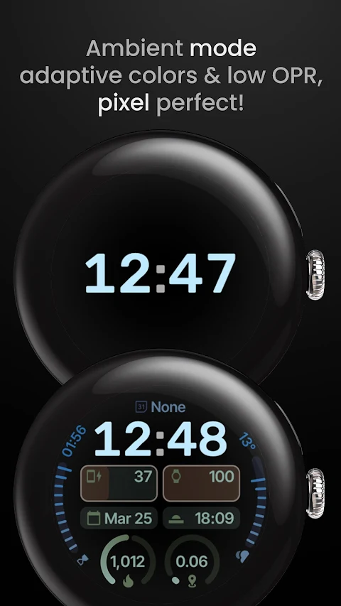 Expedition Watch Face screenshot
