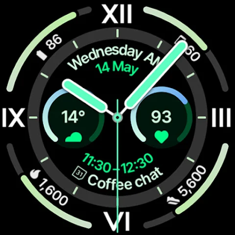 Explorer Watch Face screenshot