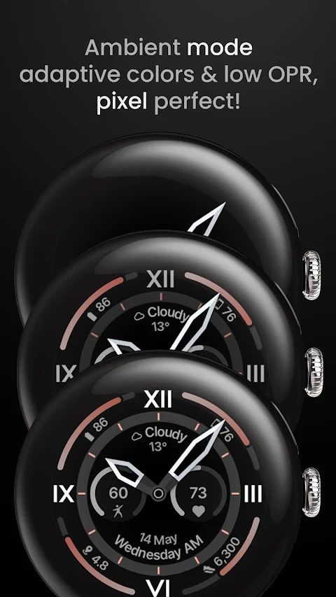 Explorer Watch Face screenshot