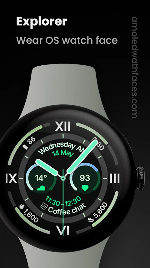 Explorer Watch Face screenshot