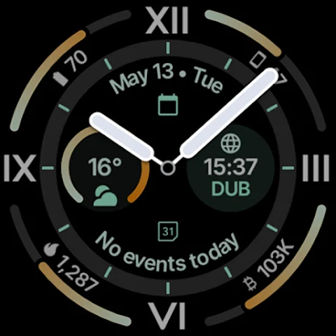 Explorer Watch Face screenshot