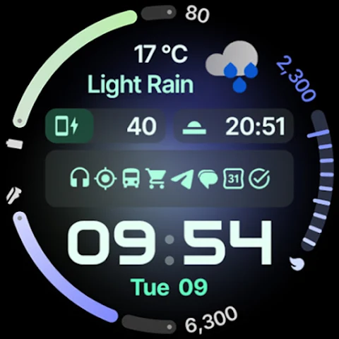 Zenith Watch Face screenshot