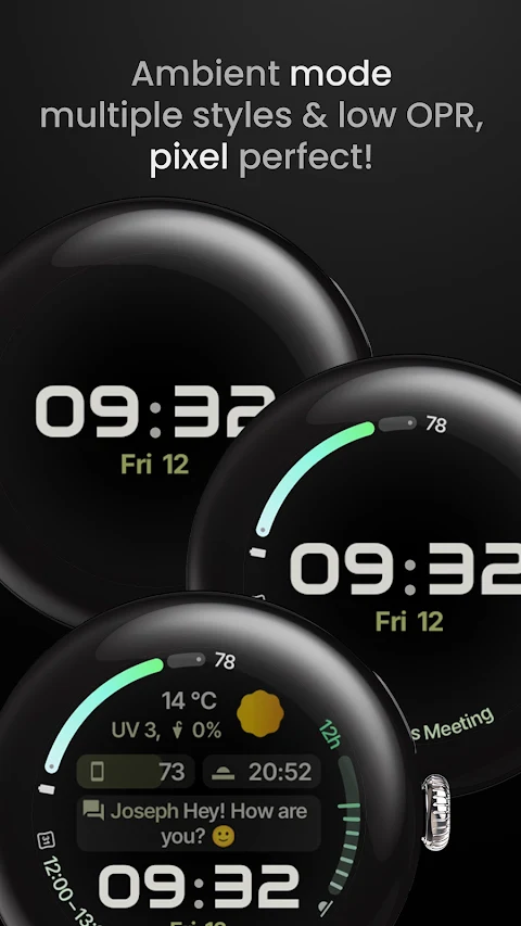 Zenith Watch Face screenshot