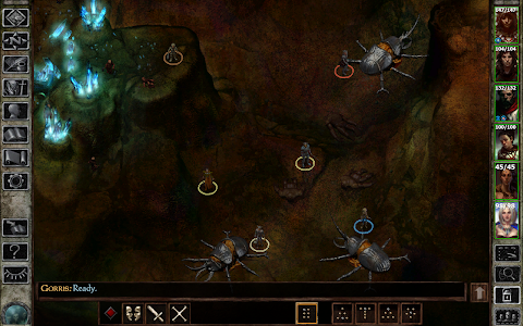 Icewind Dale: Enhanced Edition screenshot