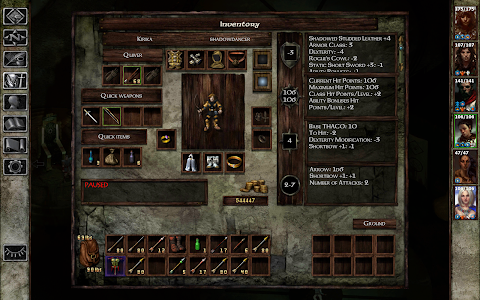 Icewind Dale: Enhanced Edition screenshot