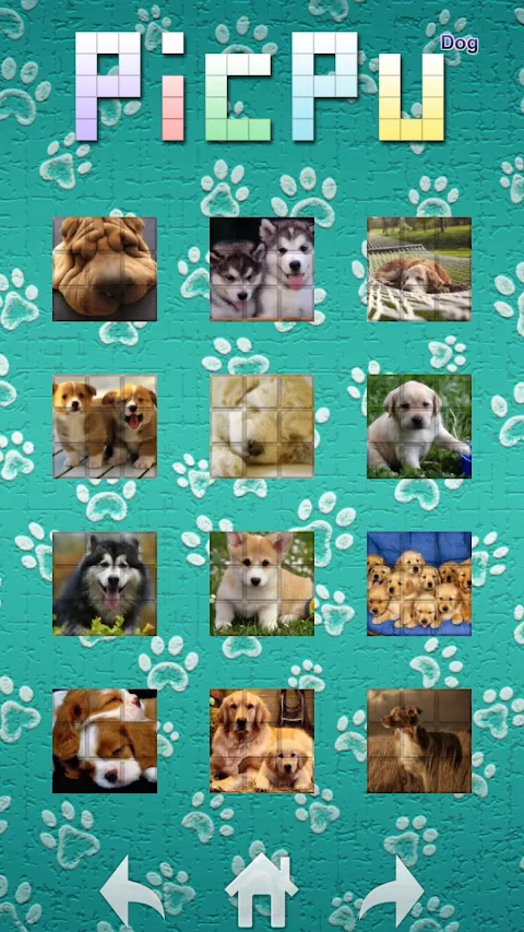 PicPu – Dog Picture Puzzle screenshot