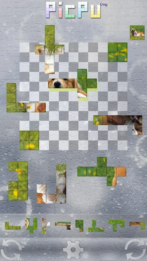 PicPu – Dog Picture Puzzle screenshot