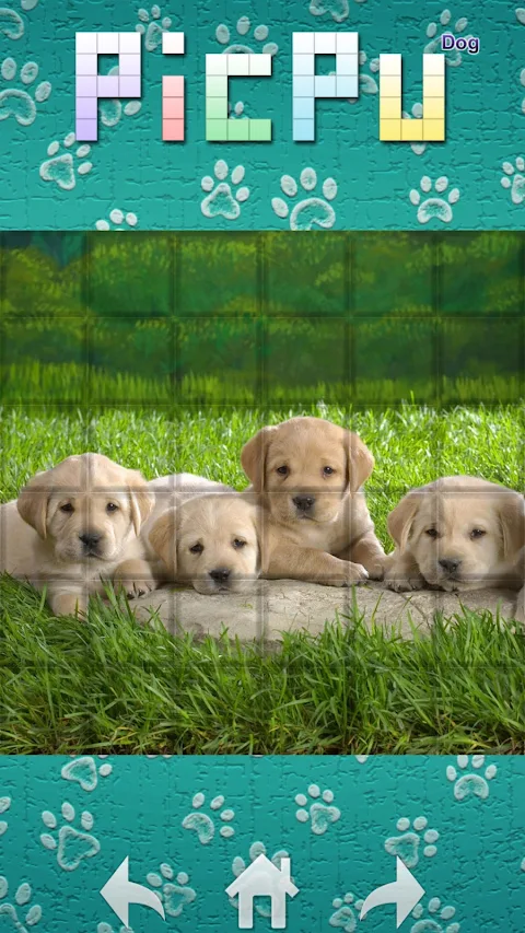 PicPu – Dog Picture Puzzle screenshot