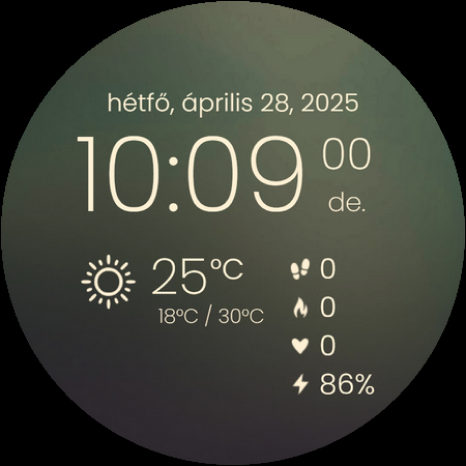CELEST5572 Data Hub Watch screenshot