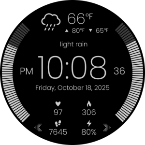 CELEST5581 Data Hub Watch
