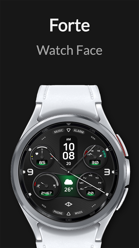 Forte: Hybrid Watch Face screenshot