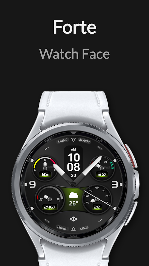 Forte: Hybrid Watch Face screenshot
