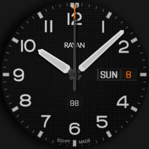 ProCaptain: Analog Pilot Watch