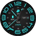 W6 Field Dark WF Wear OS 5+