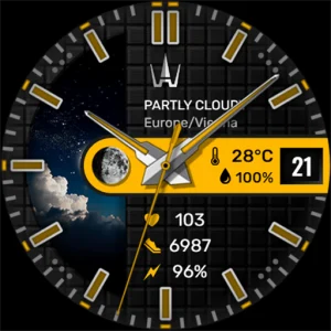 WAW017 Versatile Analog Watch