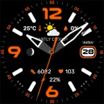 WAW025 Posh Tech Watch Face