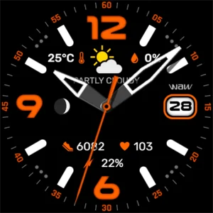 WAW025 Posh Tech Watch Face