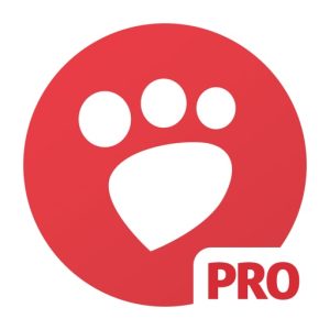 Desqueeze PRO – Batch Resizer