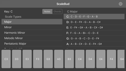 ScaleBud – AUv3 MIDI Keyboard screenshot