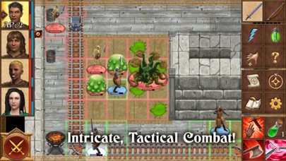Queen’s Wish: The Conqueror screenshot