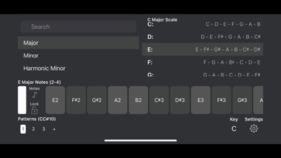 ScaleBud 2 AUv3 MIDI Keyboard screenshot