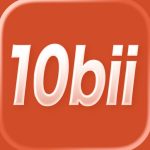 10bii Financial Calculator