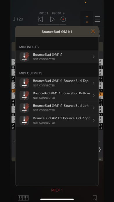 BounceBud Physics Based MIDI screenshot