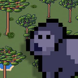 Retro Zoo CEO