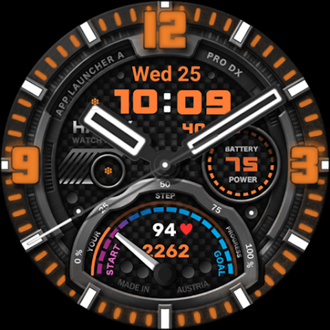 h1205 Statement screenshot
