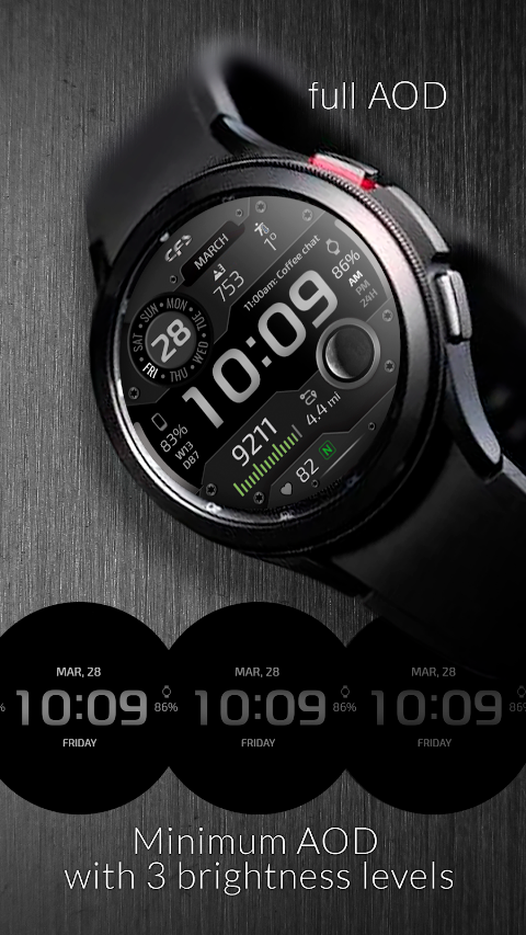 CFS118 Digital screenshot