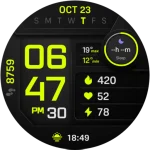 PIXEL INSTINCT 3 Watch Face
