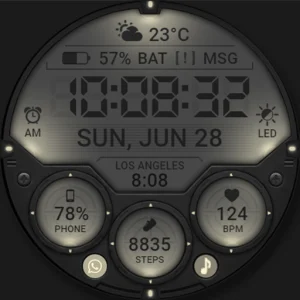WFP 355 Tactical Watch face