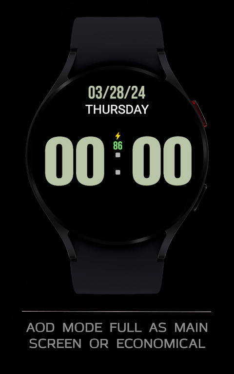 BIG 24 Digital Watchface screenshot