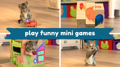 Little Kitten: Virtual Pet Cat screenshot